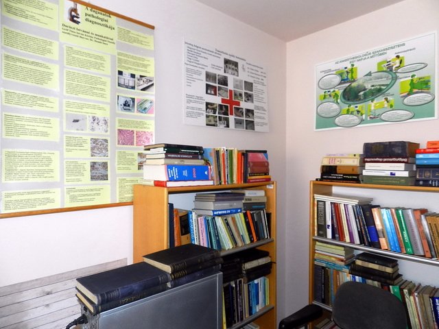 Kossuth Zsuzsanna emlékülés 2017 05